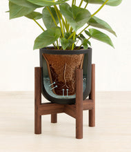 Load image into Gallery viewer, Stone Black stand:walnut