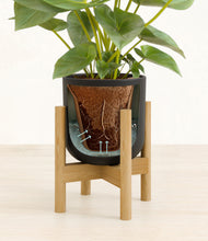 Load image into Gallery viewer, Stone Black stand:bamboo