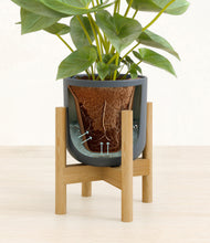 Load image into Gallery viewer, Iron Gray stand:bamboo