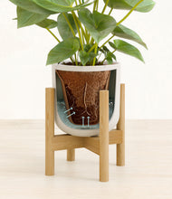 Load image into Gallery viewer, Natural Bamboo stand:bamboo