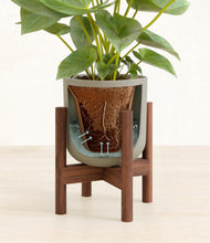 Load image into Gallery viewer, Sage Green stand:walnut