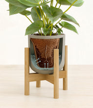 Load image into Gallery viewer, Sage Green stand:bamboo