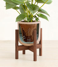 Load image into Gallery viewer, Sandy Pink stand:walnut