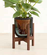 Load image into Gallery viewer, Stone Black stand:walnut