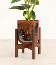 Load image into Gallery viewer, Earth Red stand:walnut
