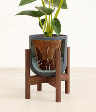 Load image into Gallery viewer, Iron Gray stand:walnut