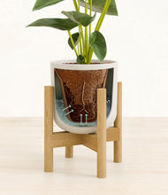 Load image into Gallery viewer, Natural Bamboo stand:bamboo