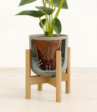 Load image into Gallery viewer, Sage Green stand:bamboo