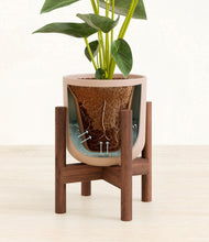 Load image into Gallery viewer, Sandy Pink stand:walnut