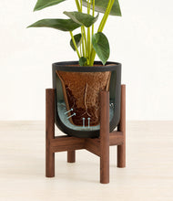 Load image into Gallery viewer, Stone Black stand:walnut