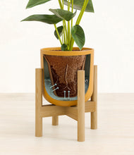 Load image into Gallery viewer, Sunset Orange stand:bamboo