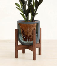 Load image into Gallery viewer, Iron Gray stand:walnut