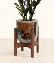 Load image into Gallery viewer, Sage Green stand:walnut