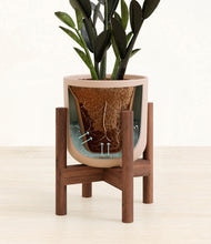 Load image into Gallery viewer, Sandy Pink stand:walnut