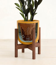 Load image into Gallery viewer, Sunset Orange stand:walnut