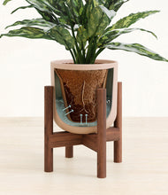 Load image into Gallery viewer, Sandy Pink stand:walnut