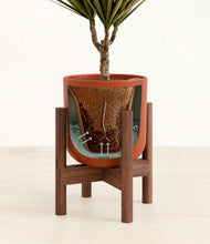 Load image into Gallery viewer, Earth Red stand:walnut
