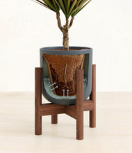 Load image into Gallery viewer, Iron Gray stand:walnut