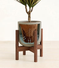 Load image into Gallery viewer, Sage Green stand:walnut