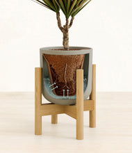 Load image into Gallery viewer, Sage Green stand:bamboo