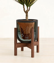 Load image into Gallery viewer, Stone Black stand:walnut