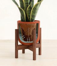 Load image into Gallery viewer, Earth Red stand:walnut