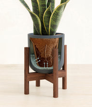 Load image into Gallery viewer, Iron Gray stand:walnut