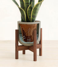 Load image into Gallery viewer, Sage Green stand:walnut