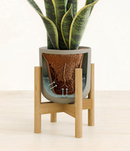 Load image into Gallery viewer, Sage Green stand:bamboo