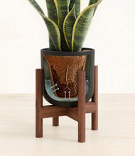 Load image into Gallery viewer, Stone Black stand:walnut