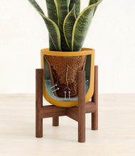 Load image into Gallery viewer, Sunset Orange stand:walnut