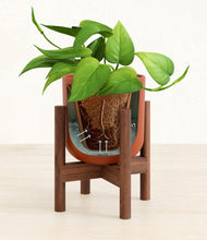 Load image into Gallery viewer, Earth Red stand:walnut