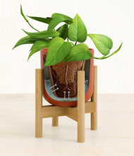 Load image into Gallery viewer, Earth Red stand:bamboo
