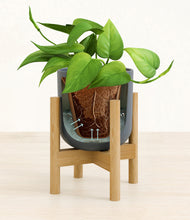 Load image into Gallery viewer, Iron Gray stand:bamboo