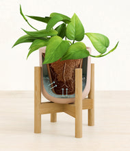 Load image into Gallery viewer, Sandy Pink stand:bamboo