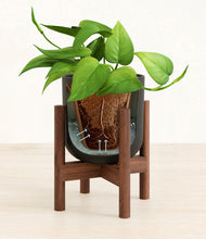 Load image into Gallery viewer, Stone Black stand:walnut