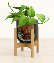 Load image into Gallery viewer, Stone Black stand:bamboo