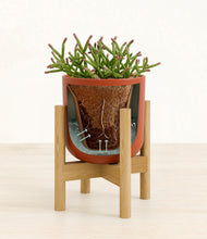 Load image into Gallery viewer, Earth Red stand:bamboo