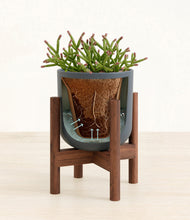 Load image into Gallery viewer, Iron Gray stand:walnut