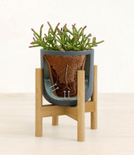 Load image into Gallery viewer, Iron Gray stand:bamboo