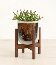 Load image into Gallery viewer, Natural Bamboo stand:walnut