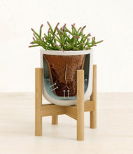 Load image into Gallery viewer, Natural Bamboo stand:bamboo