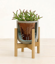 Load image into Gallery viewer, Sage Green stand:bamboo