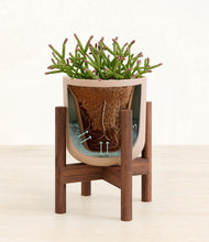 Load image into Gallery viewer, Sandy Pink stand:walnut