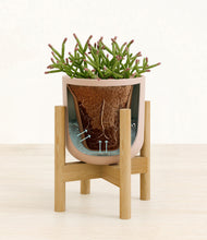 Load image into Gallery viewer, Sandy Pink stand:bamboo