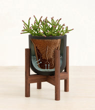 Load image into Gallery viewer, Stone Black stand:walnut