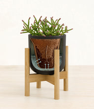 Load image into Gallery viewer, Stone Black stand:bamboo