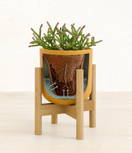 Load image into Gallery viewer, Sunset Orange stand:bamboo