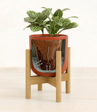 Load image into Gallery viewer, Earth Red stand:bamboo