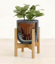 Load image into Gallery viewer, Iron Gray stand:bamboo